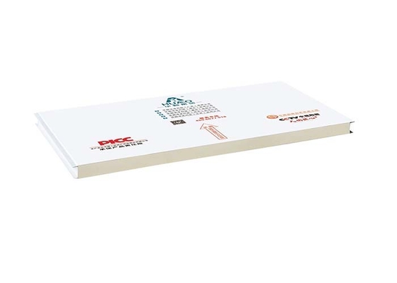 PU-PIR-PUR-Maschine aus Reinraum-Sandwich-Panel für Lagerfabrik